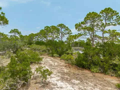 2910 Hidden Beaches Rd, Carrabelle, FL 32322 photo 6