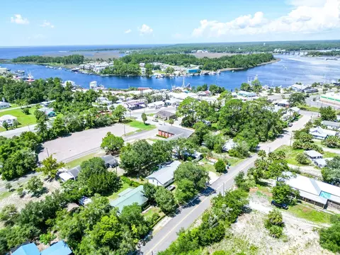 View/Area - 303 E Meridian Ave, Carrabelle, FL 32322 photo 2 of 8