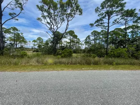 223 Hidden Harbor Dr, Alligator Point, FL 32346