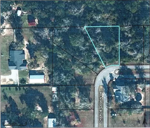 27 Charlie Gaskin Dr, Wewahitchka, FL 32465