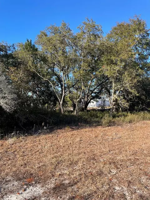 2245 Oak St, Lanark Village, FL 32322 photo 3