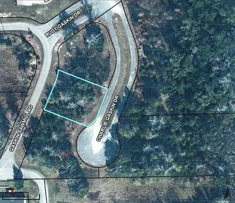 36 Charlie Gaskin Dr, Wewahitchka, FL 32465