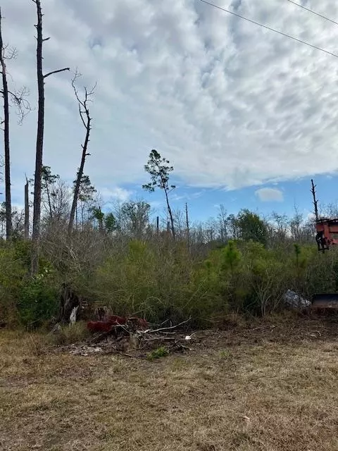 lot2 Pine St, Kinard, FL 32449