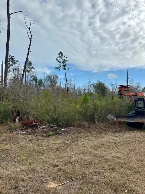lot2 Pine St, Kinard, FL 32449 photo 2