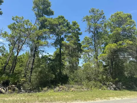 208 Woodill Rd, Carrabelle, FL 32322