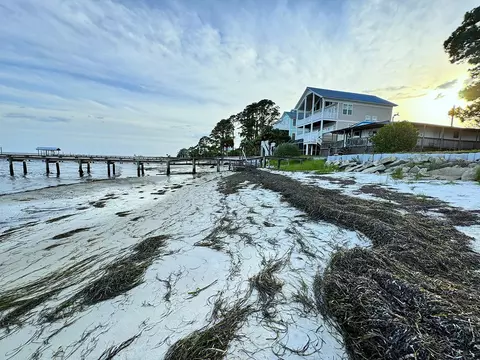 2234 Hwy 98 E, Carrabelle, FL 32322 photo 8