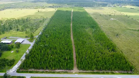 tbd Borders Rd, Wewahitchka, FL 32465