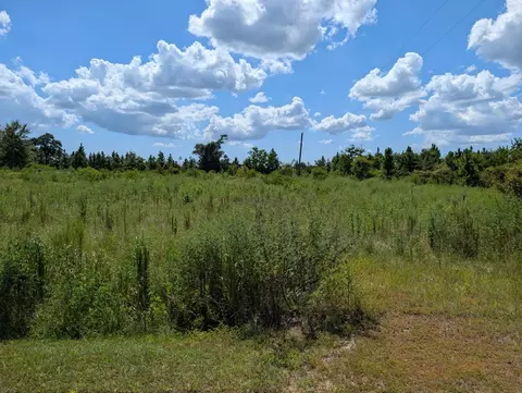 111 Goldenrod Ln, Wewahitchka, FL 32465