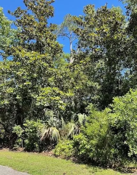 135 Water Oaks Way, Apalachicola, FL 32320