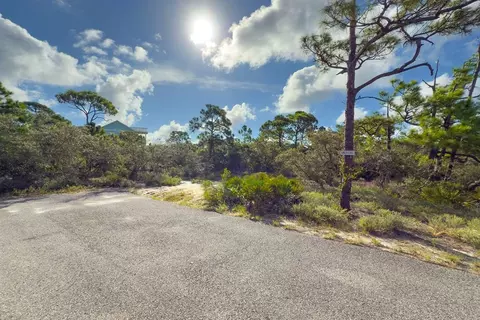 2012 Pelican Ct E, Saint George Island, FL 32328