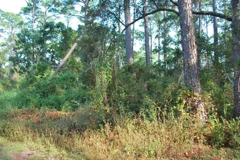 2976 Pristine Dr, Carrabelle, FL 32322 photo 4