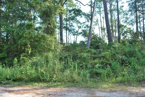 2976 Pristine Dr, Carrabelle, FL 32322 photo 2