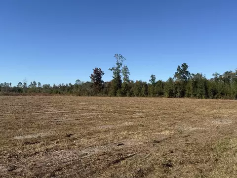 lot1 Hwy 71, Wewahitchka, FL 32465