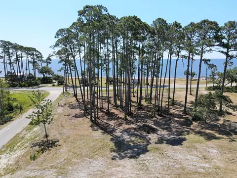 View/Area - 110 Shell Bay Ct, Carrabelle, FL 32322 photo 1 of 8