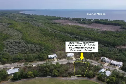 305 Royal Tern Way, Carrabelle, FL 32322