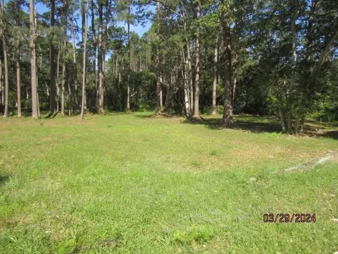 2967 Hwy 98 E, Carrabelle, FL 32322 photo 9