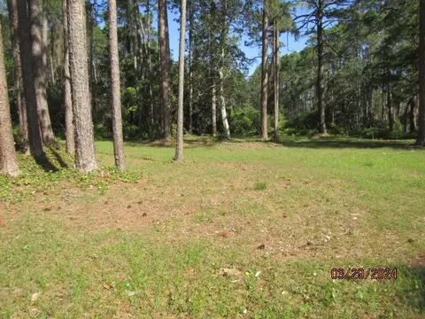 2967 Hwy 98 E, Carrabelle, FL 32322 photo 2