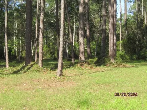 2967 Hwy 98 E, Carrabelle, FL 32322 photo 10