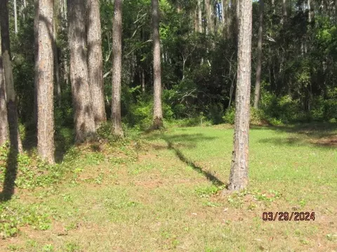 2967 Hwy 98 E, Carrabelle, FL 32322 photo 16