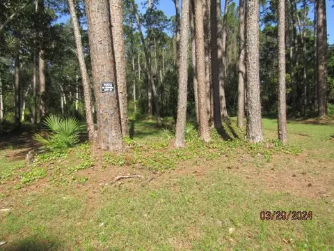 2967 Hwy 98 E, Carrabelle, FL 32322 photo 6