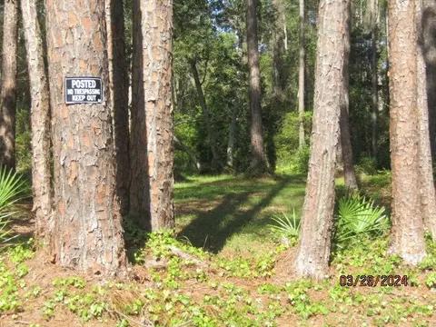 2967 Hwy 98 E, Carrabelle, FL 32322 photo 5