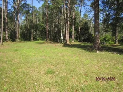 2967 Hwy 98 E, Carrabelle, FL 32322 photo 13