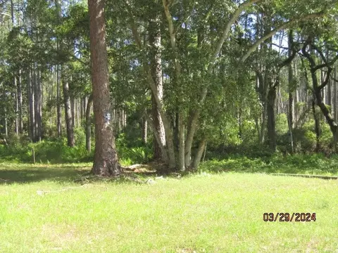 2967 Hwy 98 E, Carrabelle, FL 32322 photo 15