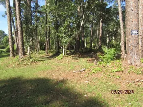 2967 Hwy 98 E, Carrabelle, FL 32322 photo 11