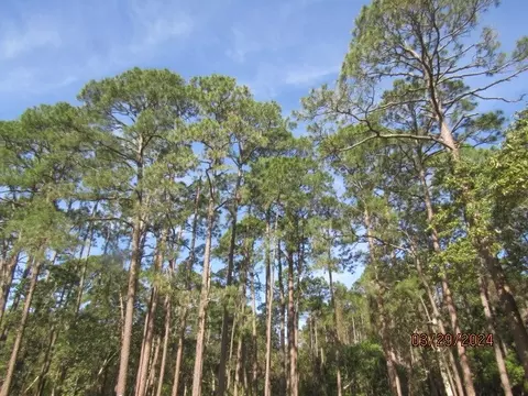 2967 Hwy 98 E, Carrabelle, FL 32322 photo 7