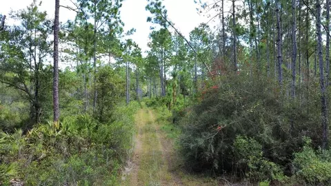 151 Als Lndg, Eastpoint, FL 32328