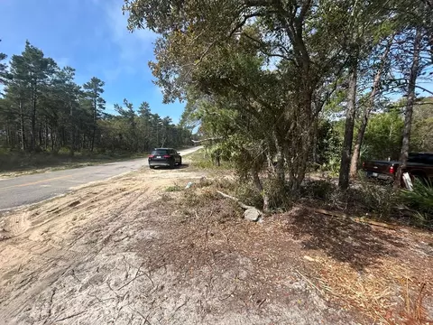 1863 Lighthouse Rd, Carrabelle, FL 32322 photo 13