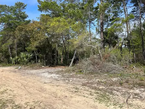 1863 Lighthouse Rd, Carrabelle, FL 32322 photo 8