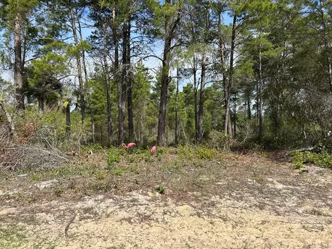 1863 Lighthouse Rd, Carrabelle, FL 32322 photo 9