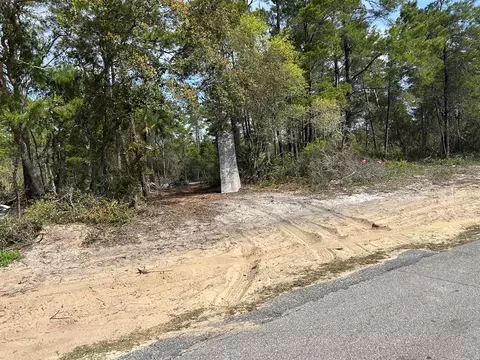 1863 Lighthouse Rd, Carrabelle, FL 32322 photo 4
