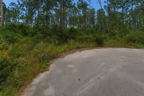 180 Alexis Way, Wewahitchka, FL 32465