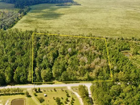6641 Farm Rd, Wewahitchka, FL 32465