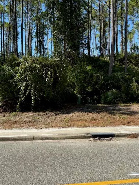 171 Royal Tern Way, Carrabelle, FL 32323 photo 2