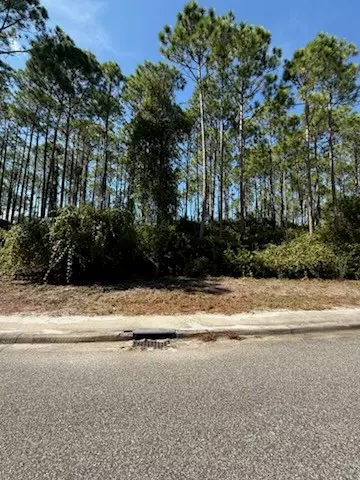 171 Royal Tern Way, Carrabelle, FL 32323 photo 3