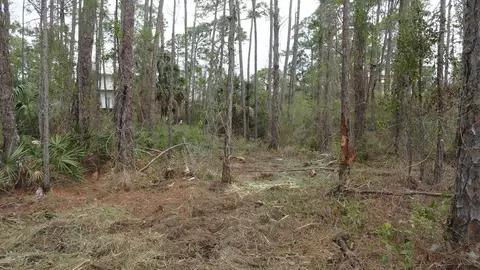 964 E Pine Ave, Saint George Island, FL 32328
