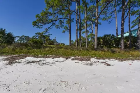 2222 Hwy 98 E, Lanark Village, FL 32322 photo 5