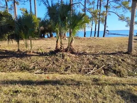 2222 Hwy 98 E, Lanark Village, FL 32322 photo 7