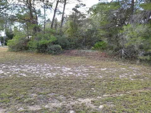 2053 Lighthouse Rd, Carrabelle, FL 32322 photo 28