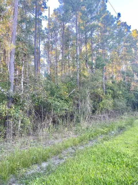 653 Bryant Landing Rd, Wewahitchka, FL 32456