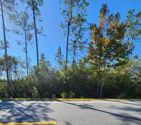 lot32 Doc Whitfield Rd, Wewahitchka, FL 32465