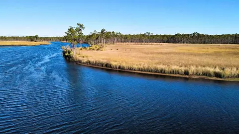 737 Mill Rd, Carrabelle, FL 32322 photo 43