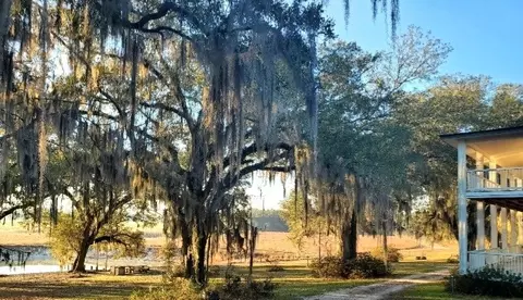 4686 Dunaway Rd, Bascom, FL 32423 photo 8