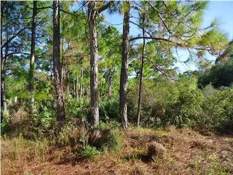 1012 Porter St, Saint George Island, FL 32328
