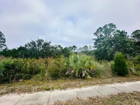711 Ryan Dr, Carrabelle, FL 32322 photo 3