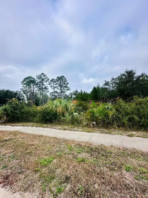 709 Ryan Dr, Carrabelle, FL 32322 photo 4
