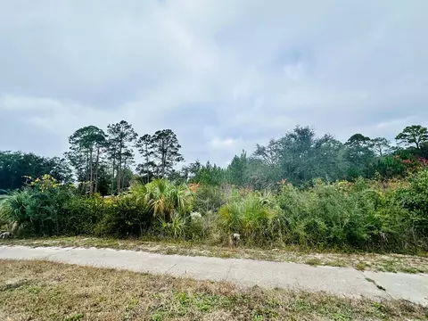 709 Ryan Dr, Carrabelle, FL 32322 photo 2